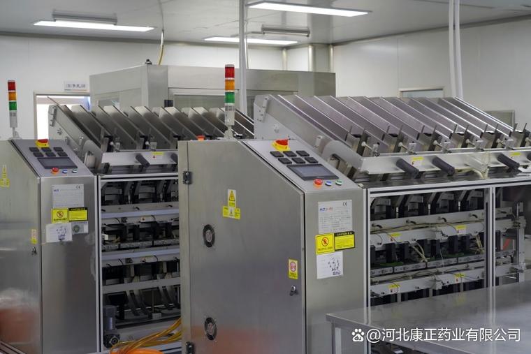 2026消字号贴牌定制,河北康正药业工厂规模如何呢?