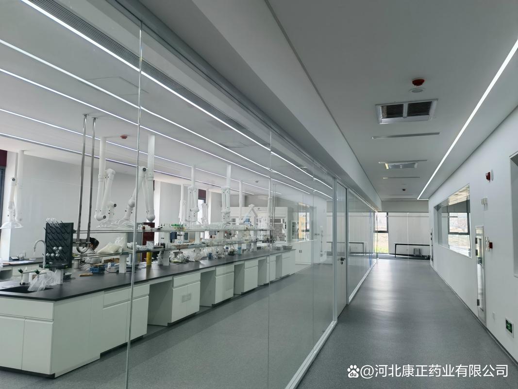 2026河北康正消字号加工厂可承接哪些代工项目?